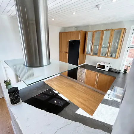 Lux Grand 2-bedroom On Pedestrian Street Ålborg