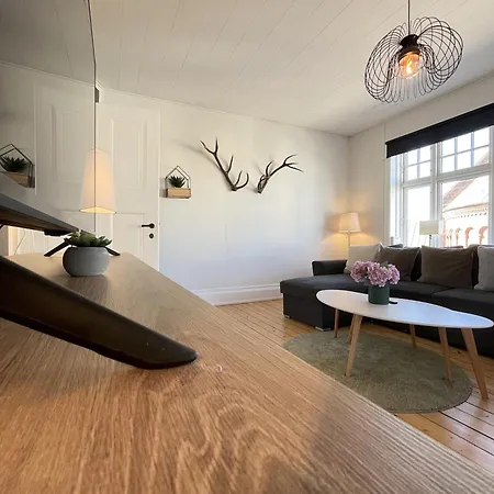 Lux Grand 2-bedroom On Pedestrian Street オールボー